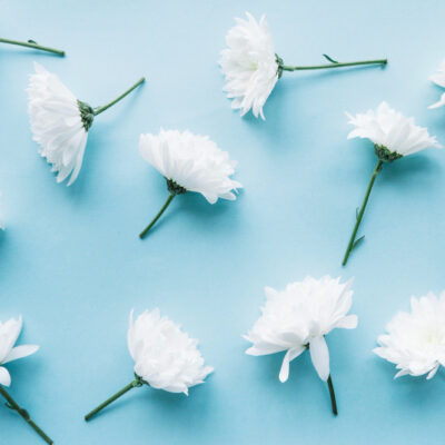 White Flowers